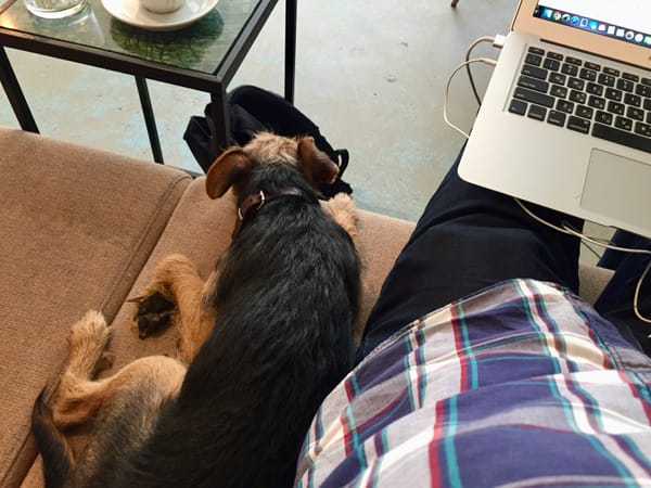 Why did I decide to be an entrepreneur?